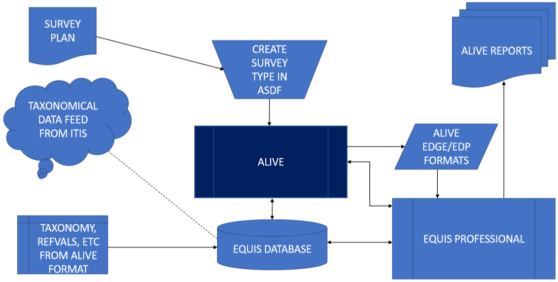 Alive_Flow-Chart