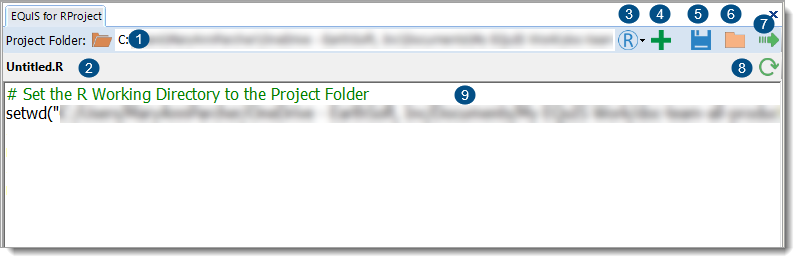 PRO_R-Project-Form