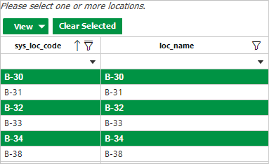 PRO_Report-Parameter-Input-Pane
